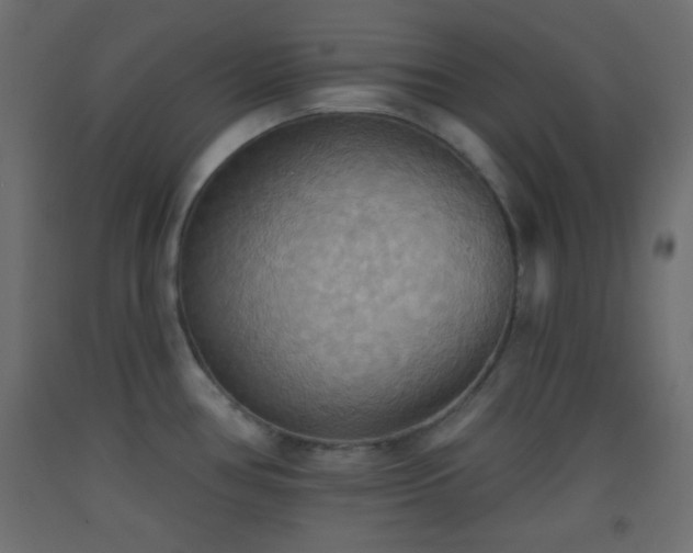 X0000093521386200710121536