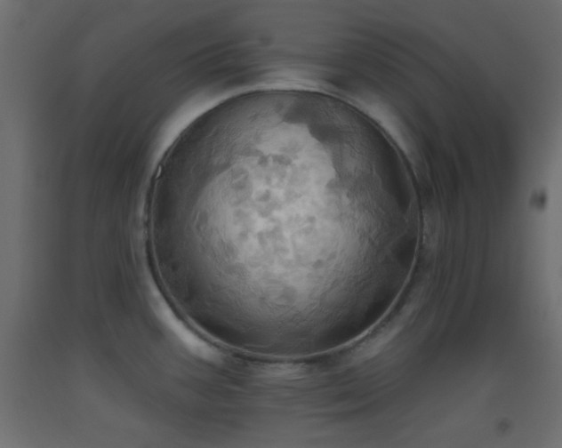 X0000093521387200710121536