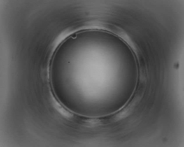 X0000093521388200710121536