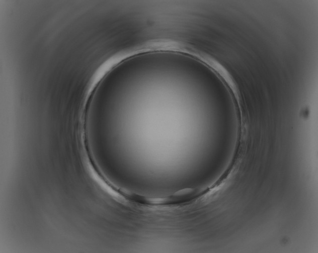 X0000093521389200710121536