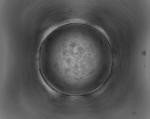 X0000093521391200710121536