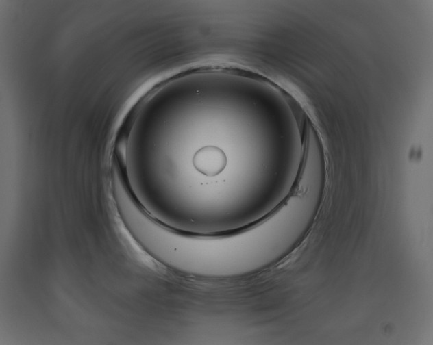 X0000093521392200710121536
