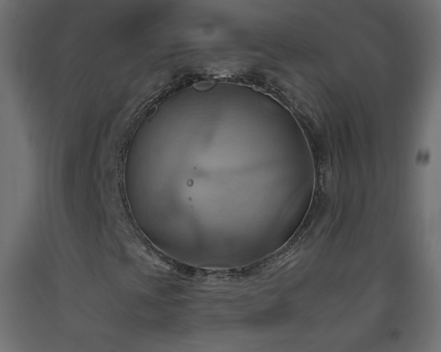 X0000093521393200710121535