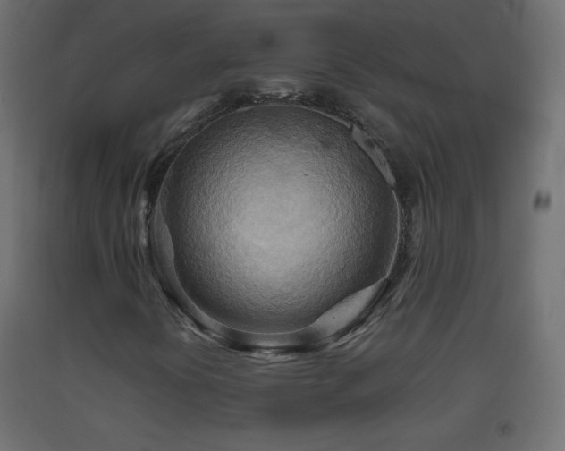 X0000093521394200710121535