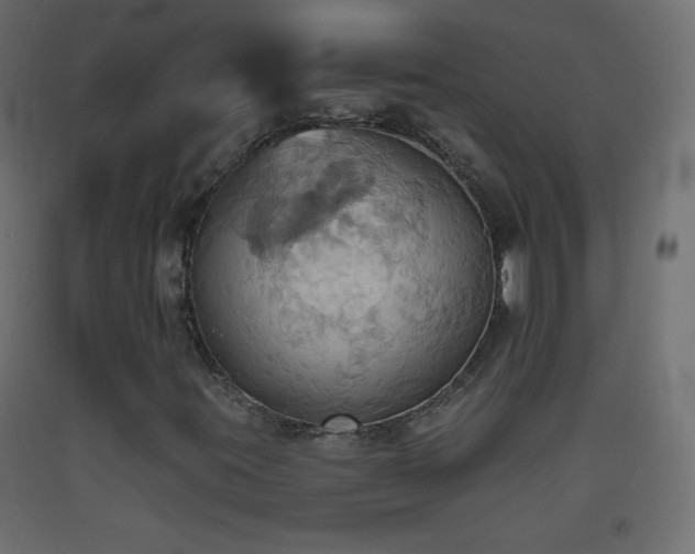 X0000093521395200710121535