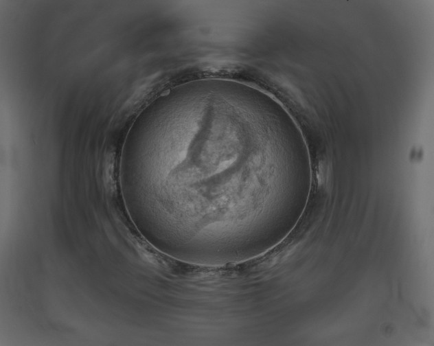 X0000093521396200710121535