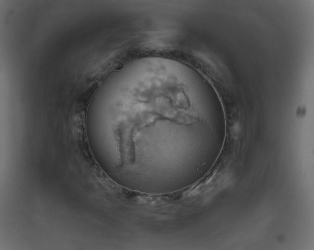 X0000093521397200710121535