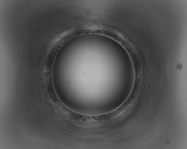 X0000093521398200710121535