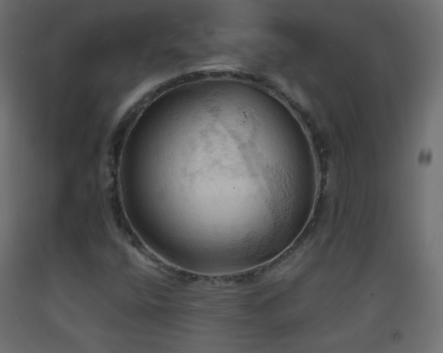 X0000093521400200710121535
