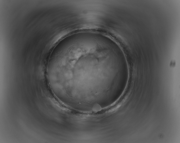 X0000093521401200710121535