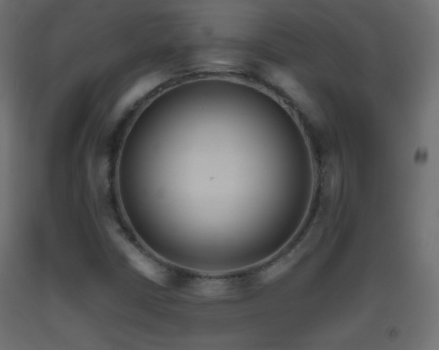 X0000093521402200710121535