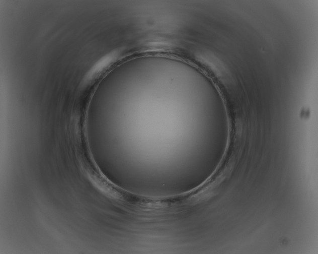 X0000093521403200710121535
