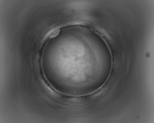X0000093521404200710121535