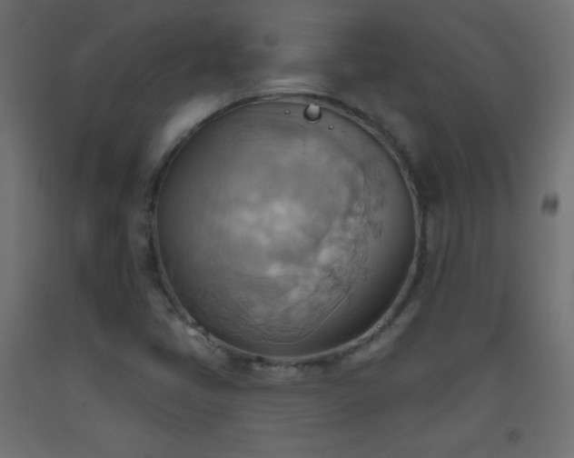 X0000093521405200710121535
