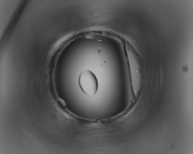 X0000093521406200710121535