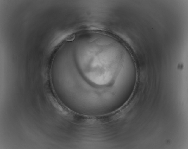 X0000093521407200710121535