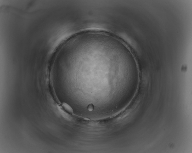 X0000093521408200710121535