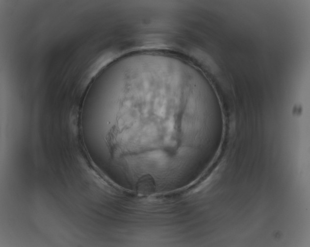 X0000093521409200710121535