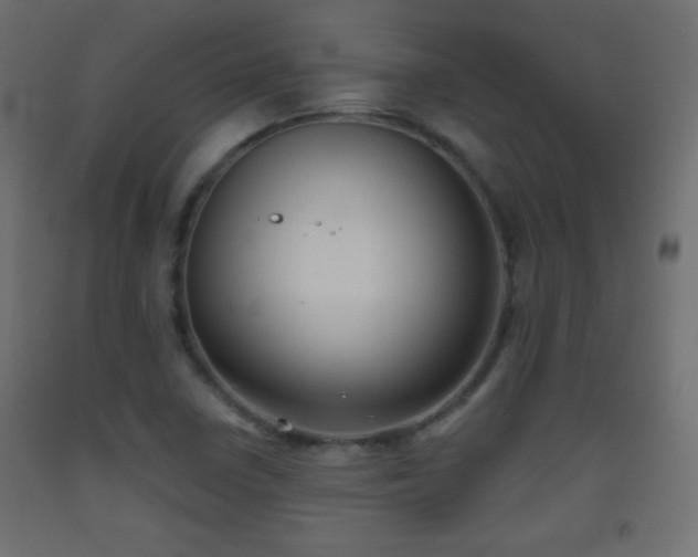 X0000093521410200710121535