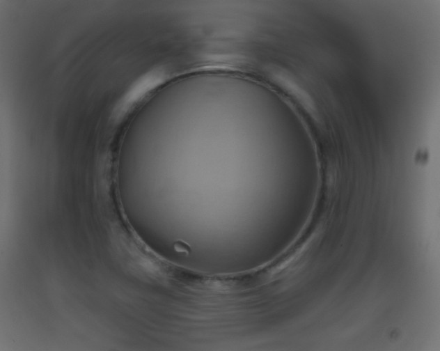 X0000093521411200710121535