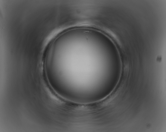 X0000093521414200710121535
