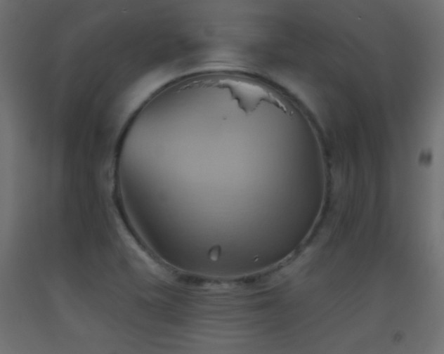X0000093521415200710121535