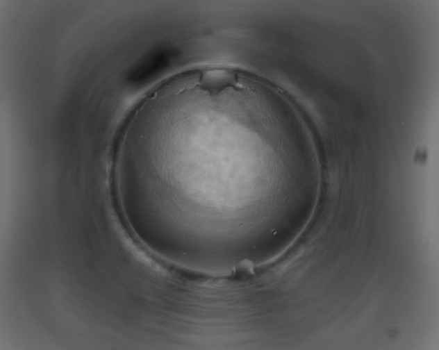 X0000093521416200710121535