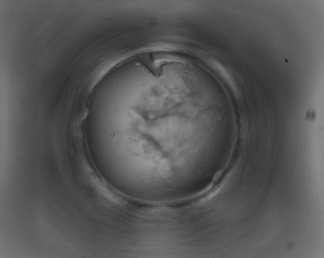 X0000093521417200710121535