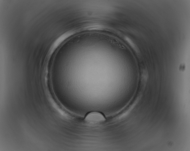 X0000093521418200710121535