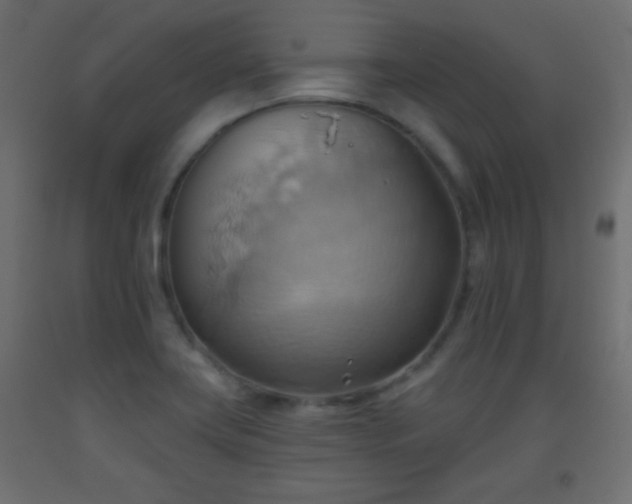 X0000093521419200710121535