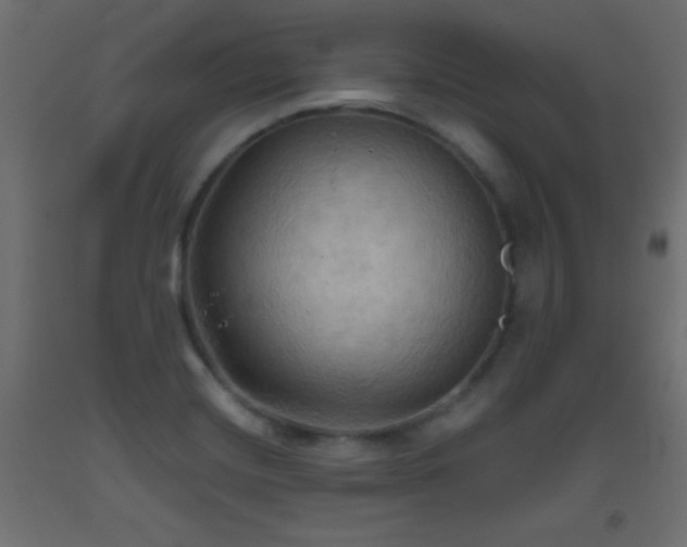 X0000093521420200710121535