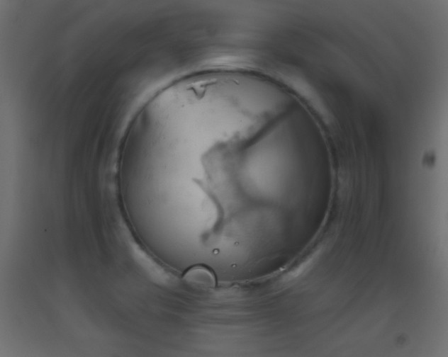X0000093521421200710121535