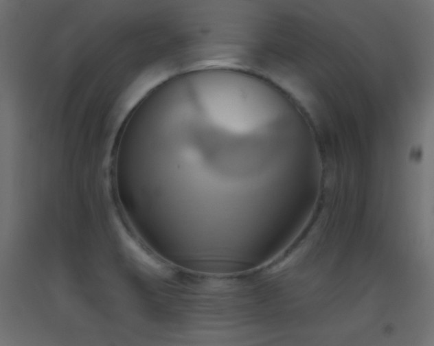X0000093521423200710121535