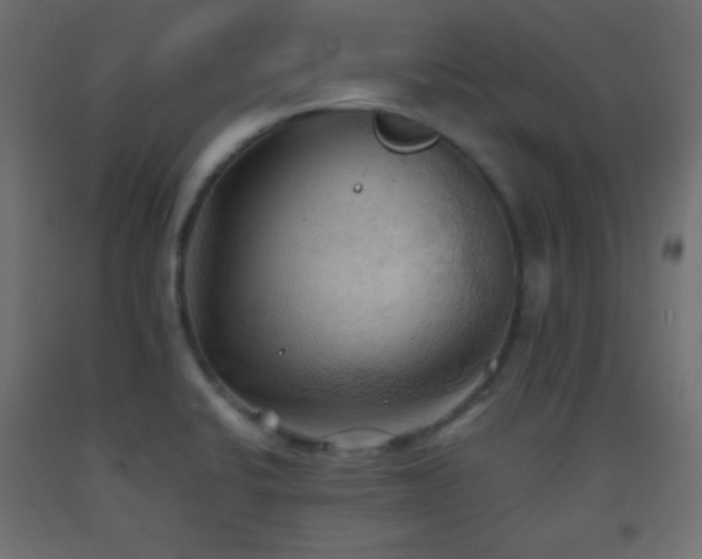 X0000093521424200710121535
