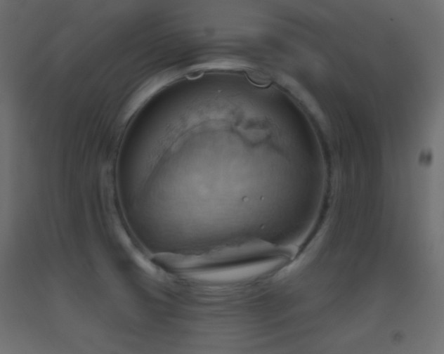 X0000093521425200710121536
