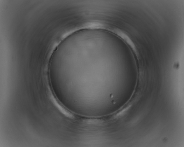 X0000093521429200710121536