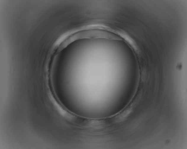 X0000093521430200710121536