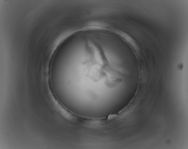 X0000093521431200710121536