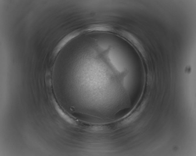 X0000093521433200710121536