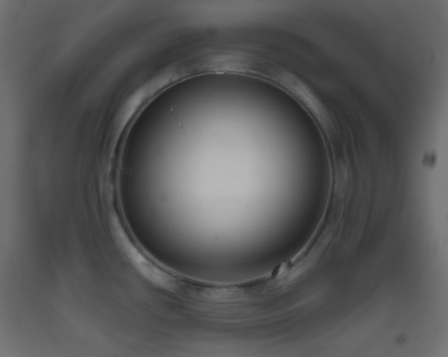X0000093521434200710121536