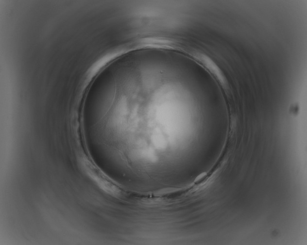 X0000093521435200710121536