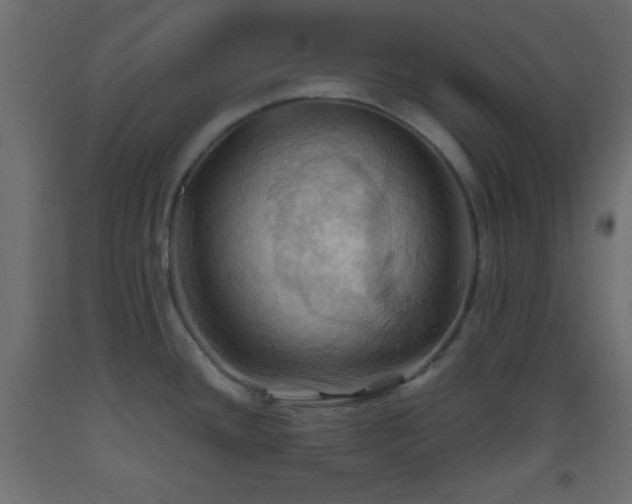 X0000093521436200710121536