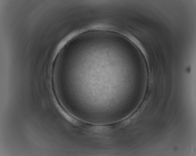 X0000093521437200710121536