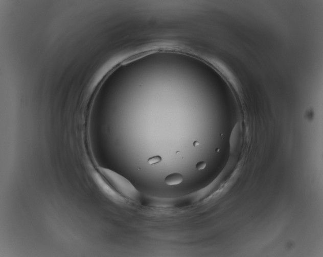 X0000093521438200710121536