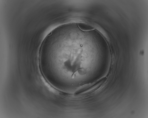 X0000093521439200710121536