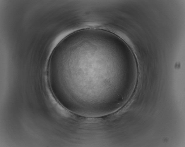 X0000093521440200710121536