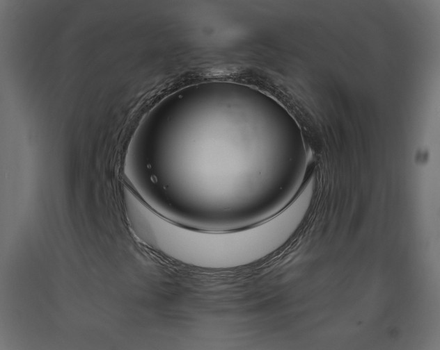X0000093521441200710121535