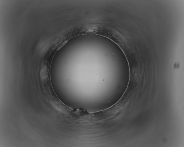 X0000093521442200710121535