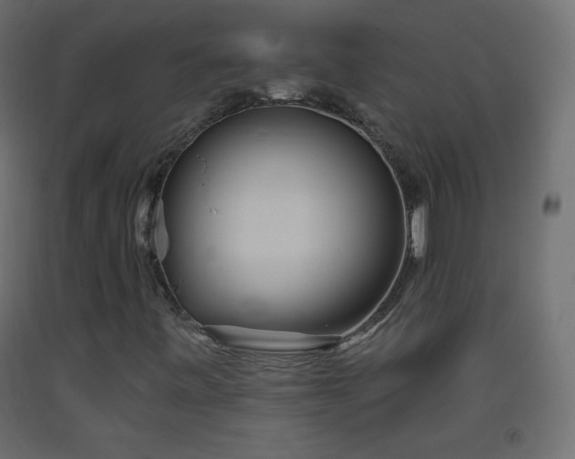 X0000093521443200710121535