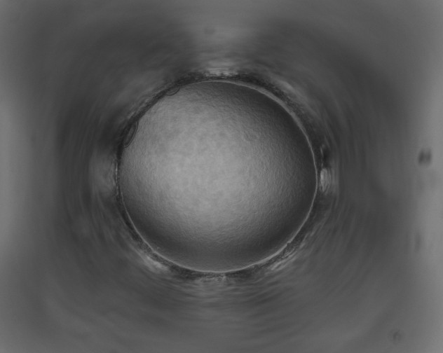 X0000093521444200710121535